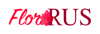 магазин Florrus